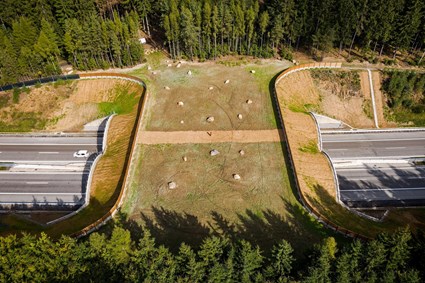 Ecoduct on D1 highway, section 12
