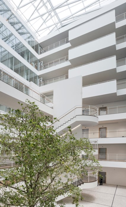 City Green Court 5