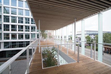 Visionary Terrace